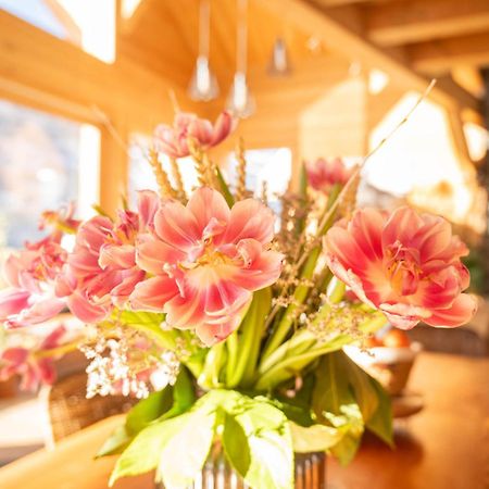 Chalet Ski Academie - Serre Chevalier サン・シャフレ エクステリア 写真