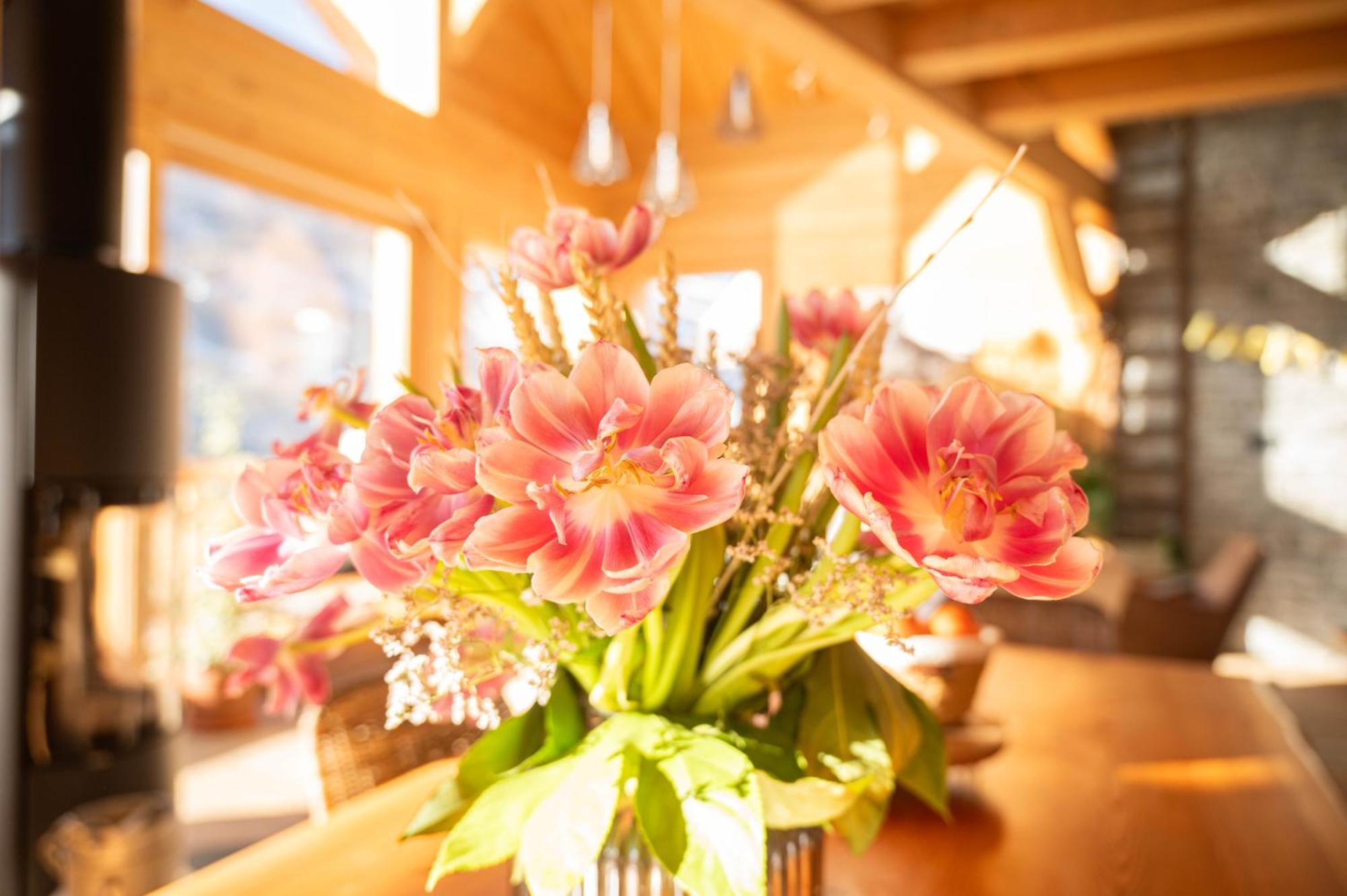 Chalet Ski Academie - Serre Chevalier サン・シャフレ エクステリア 写真